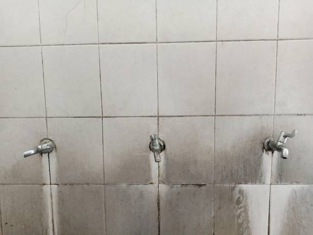 Best Residential water damage restoration  in Selmont West Selmont, AL